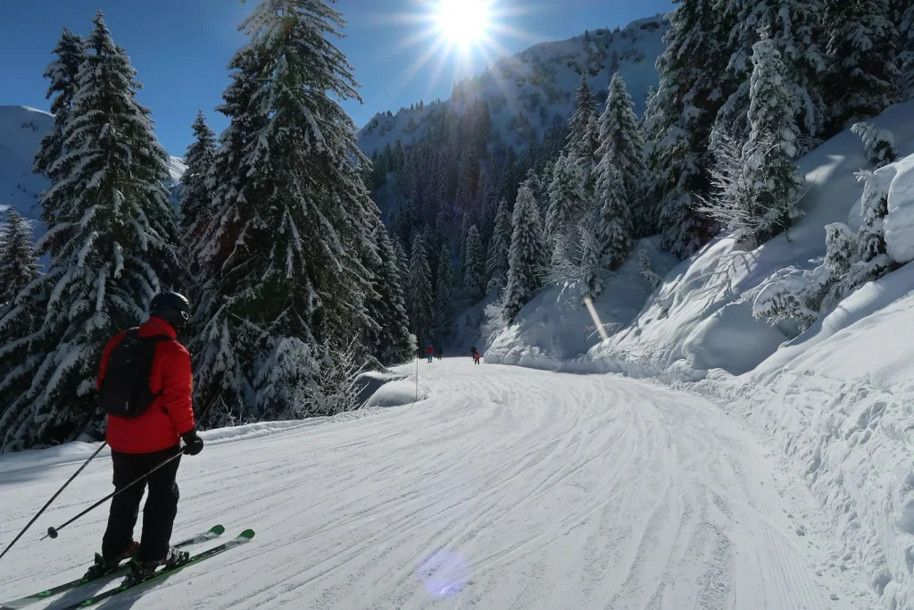 Skieur de fond dans une forêt de sapins enneigée, cadre typique d'une classe de neige dans le Jura